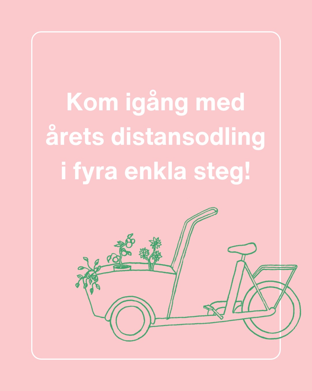 Kom igång med årets distansodling i fyra enkla steg! 🗓️